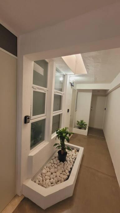 D-08novaga Downtown Apartamento